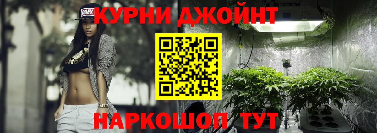 Конопля гибрид Будённовск